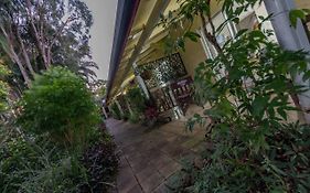 Kookaburra Lodge Yungaburra